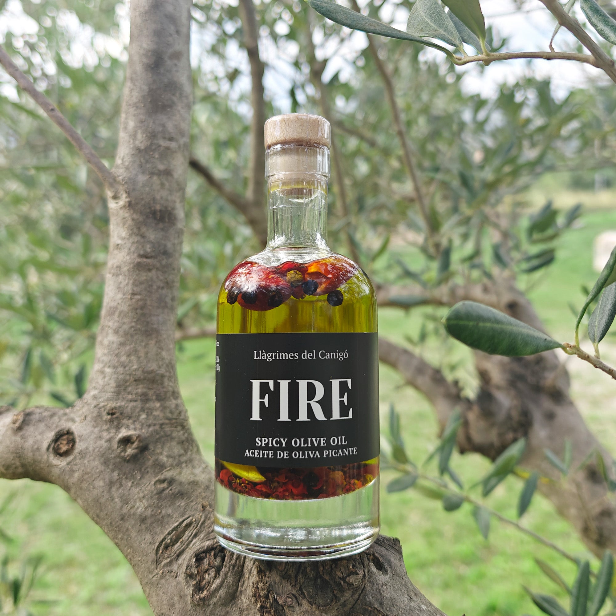 FUEGO – Chile picante, ajo y ajo. Aceite de Oliva Virgen Extra Infusión de Pimienta – 100ml / 3.38 fl oz – Llàgrimes del Canigó 2 FUEGO – Chile picante, ajo y ajo. Aceite de Oliva Virgen Extra Infusión de Pimienta – 100ml / 3.38 fl oz – Llàgrimes del Canigó - Imagen 2